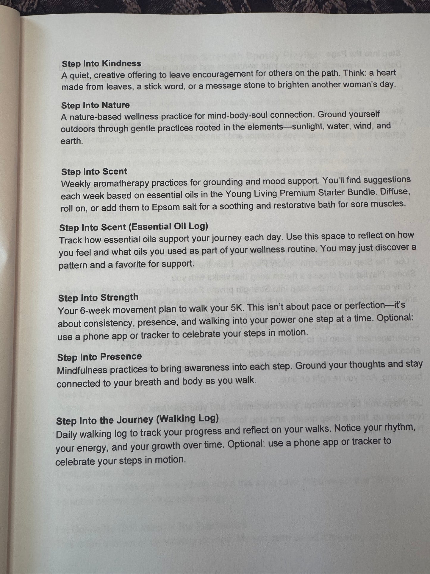 * Step Into Strength: A 6-Week Guided Journal to Walk a 5K