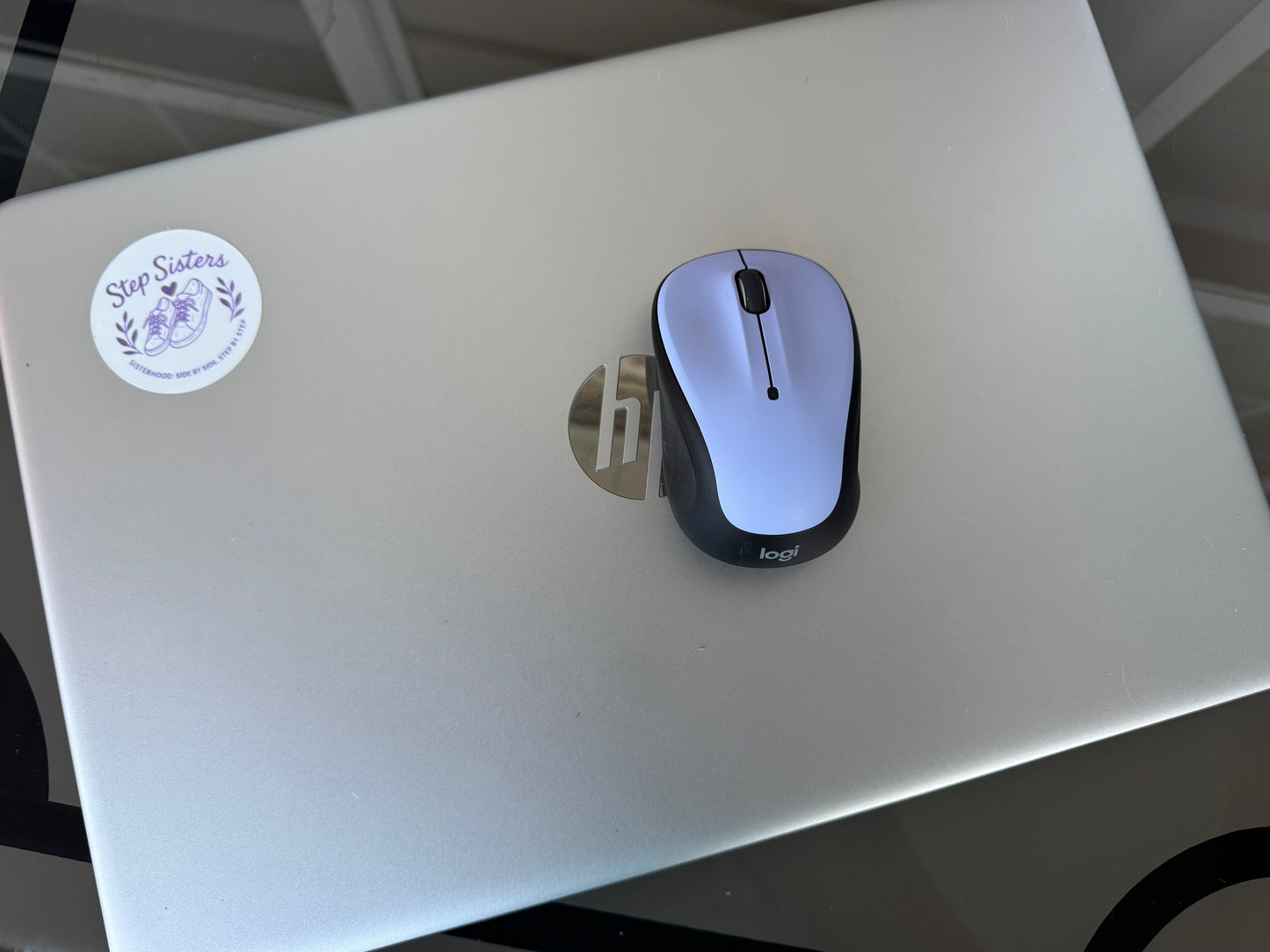 Step Sisters Sticker – Sisterhood Walking Club Decal | Water Bottle, Laptop & Journal Sticker